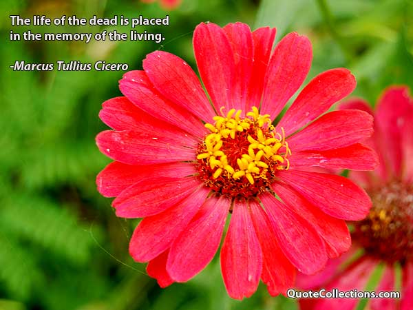 Marcus Tullius Cicero Quotes4